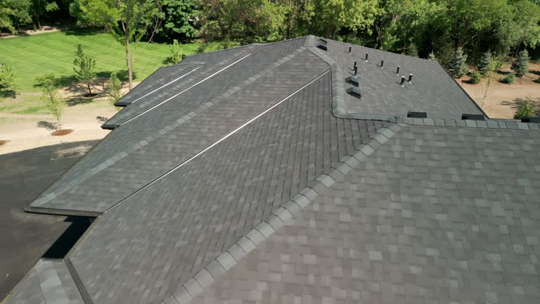 Best Chimney Flashing Repair  in Bushland, TX