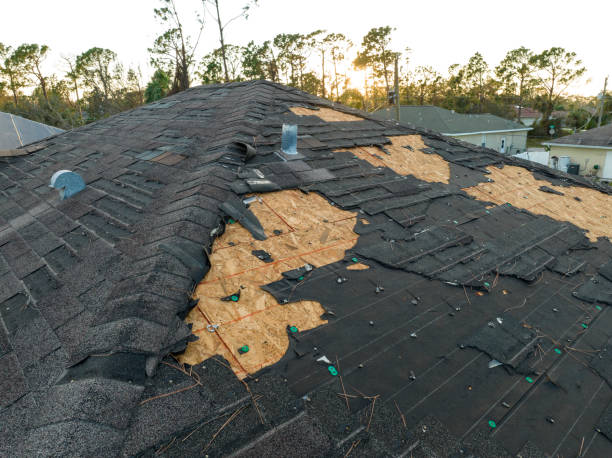 Best Slate Roofing  in Bushland, TX