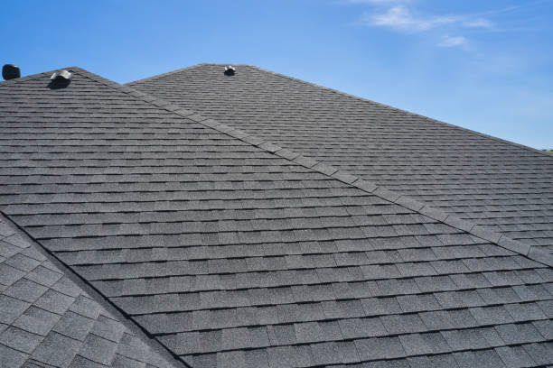 Best Roof Coating and Sealing  in Bushland, TX