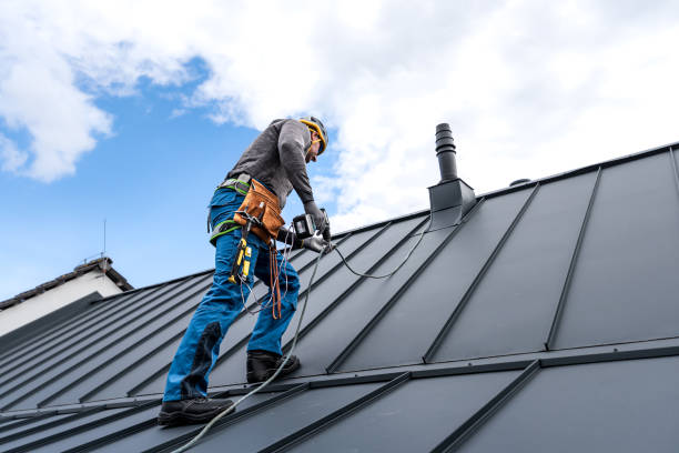 Best Roof Maintenance and Cleaning  in Bushland, TX